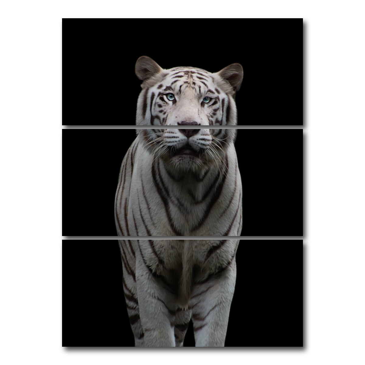 AUTO-MOCKUP WHITE | White Tiger | 3 Piece | Gallery Wrap Canvas | group=8x18_stacked