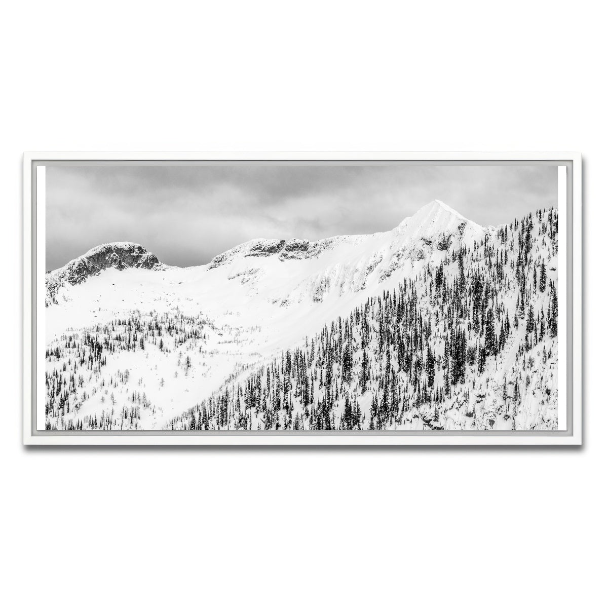 AUTO-MOCKUP WHITE | Whitewater West | 1 Piece | White Framed Canvas | group=2x1