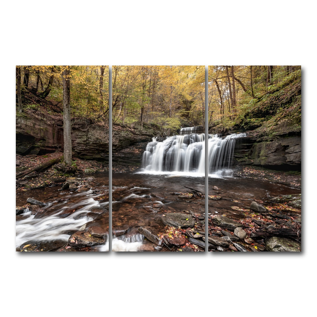 AUTO-MOCKUP WHITE | Who Loves Color | 3 Piece | Gallery Wrap Canvas | group=12x24