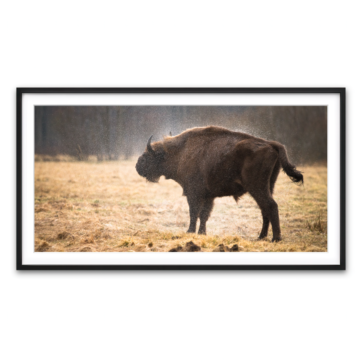 Framed Print 2x1 Black