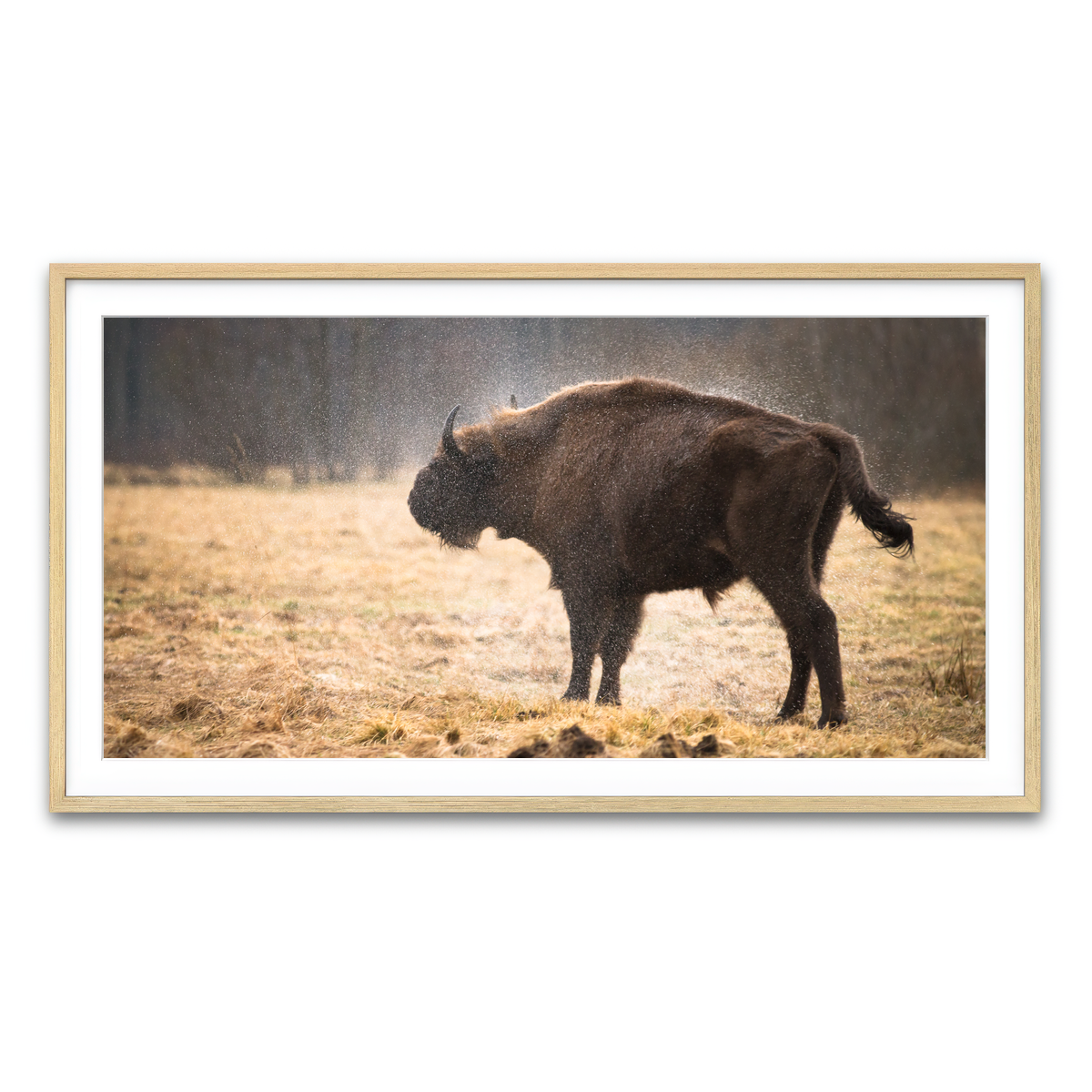 Framed Print 2x1 Natural