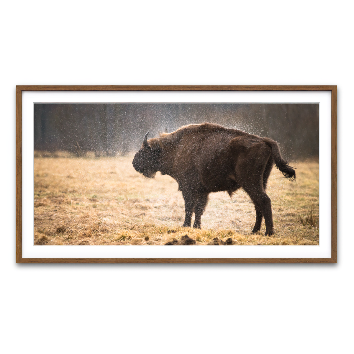 Framed Print 2x1 Walnut