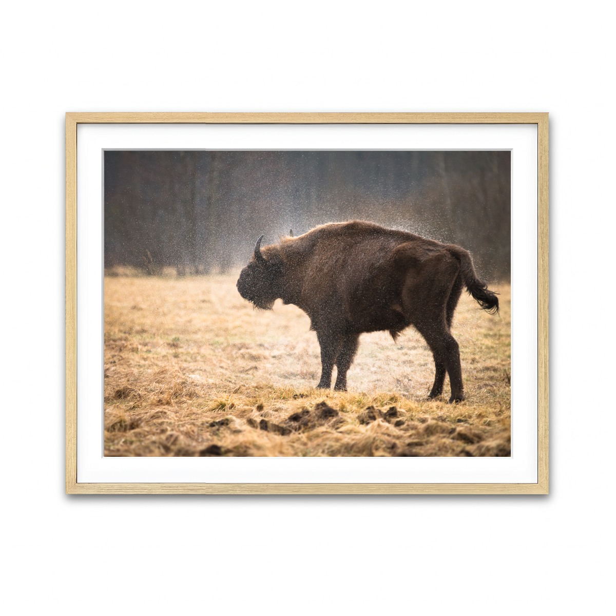 Framed Print 4x3 Natural