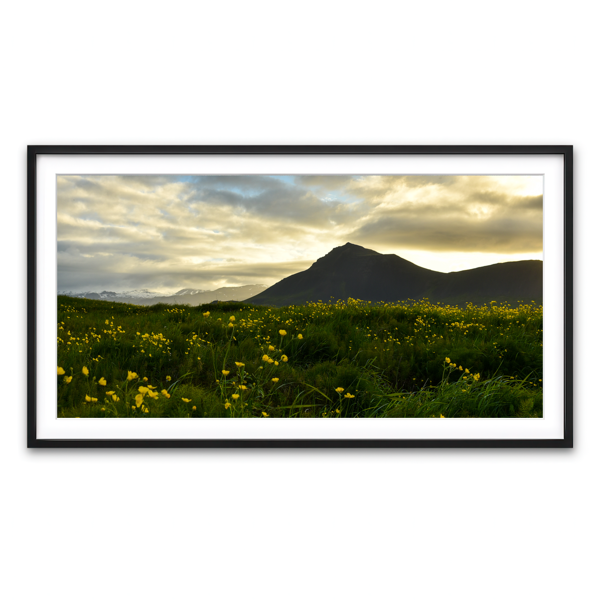 Framed Print 2x1 Black
