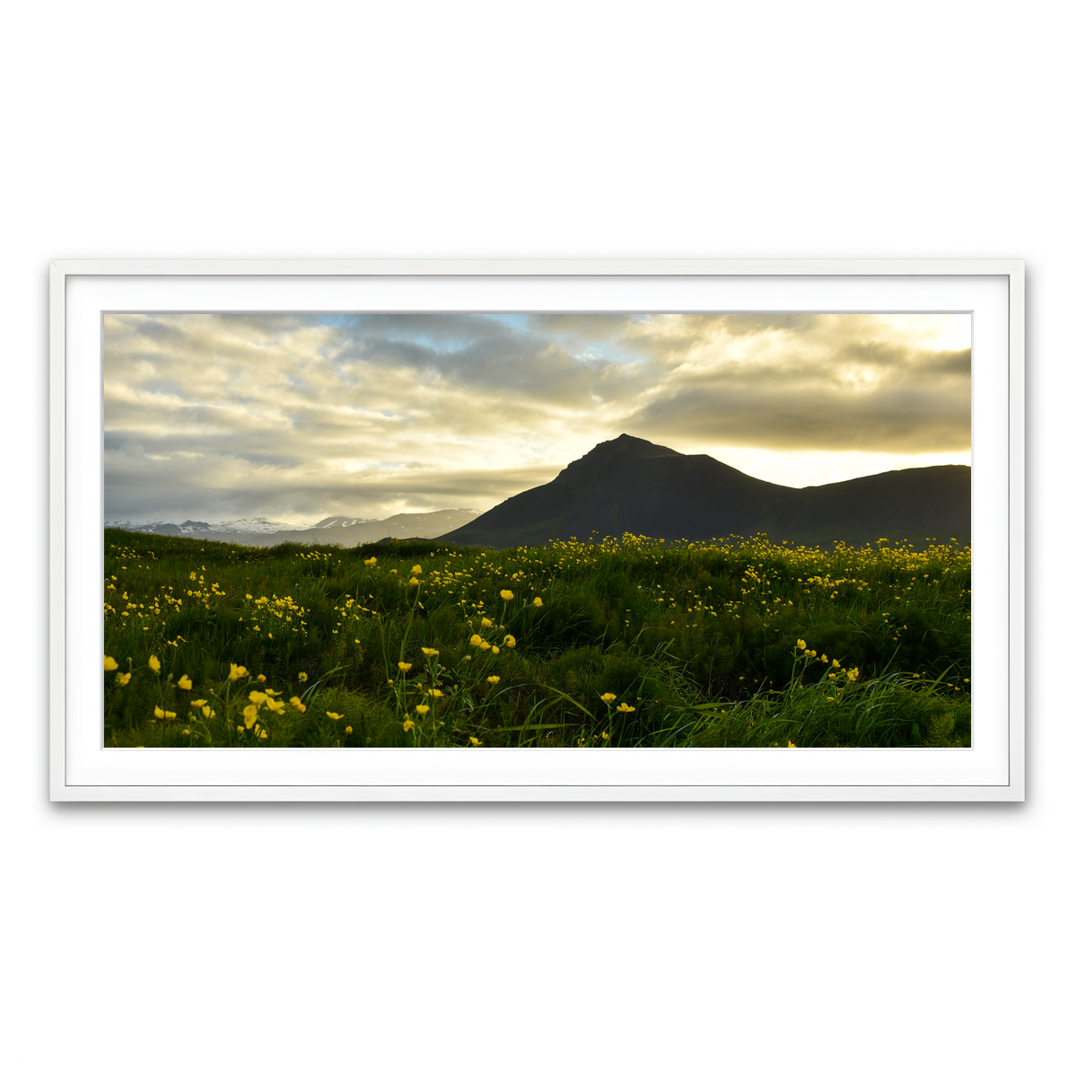Framed Print 2x1 White