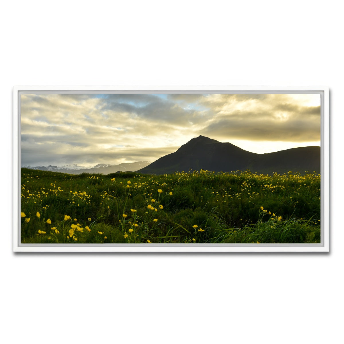AUTO-MOCKUP WHITE | Wildflowers | 1 Piece | White Framed Canvas | group=2x1