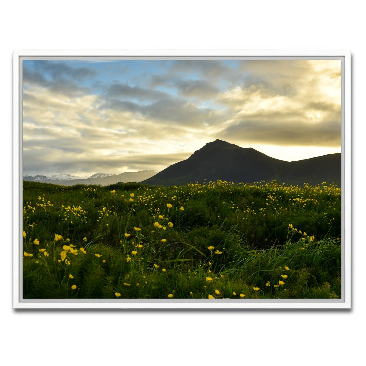 AUTO-MOCKUP WHITE | Wildflowers | 1 Piece | White Framed Canvas | group=4x3