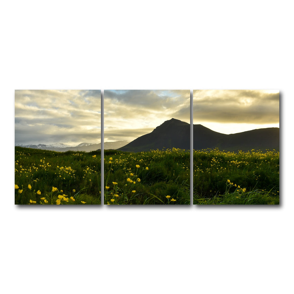 AUTO-MOCKUP WHITE | Wildflowers | 3 Piece | Gallery Wrap Canvas | group=18x24