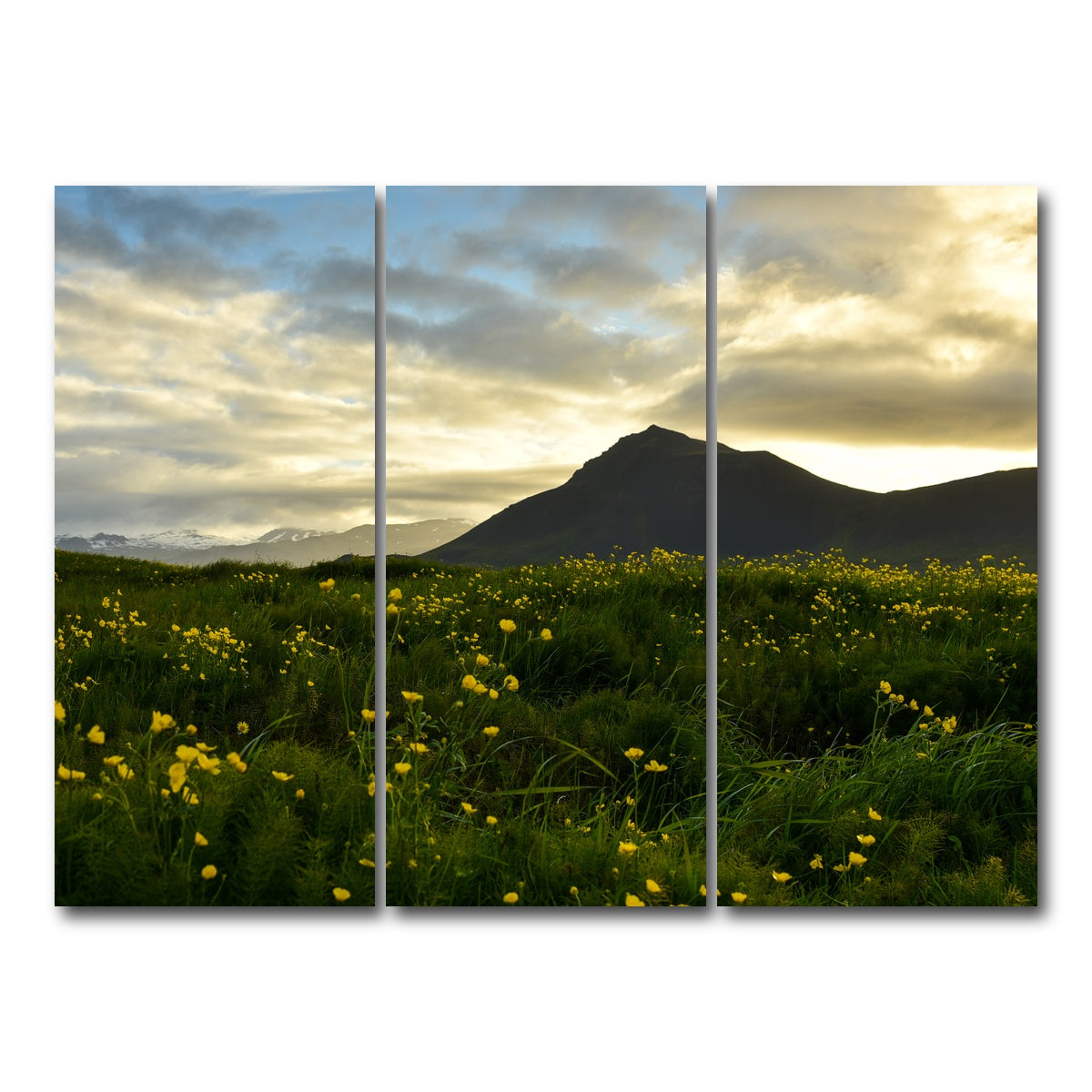 AUTO-MOCKUP WHITE | Wildflowers | 3 Piece | Gallery Wrap Canvas | group=8x18