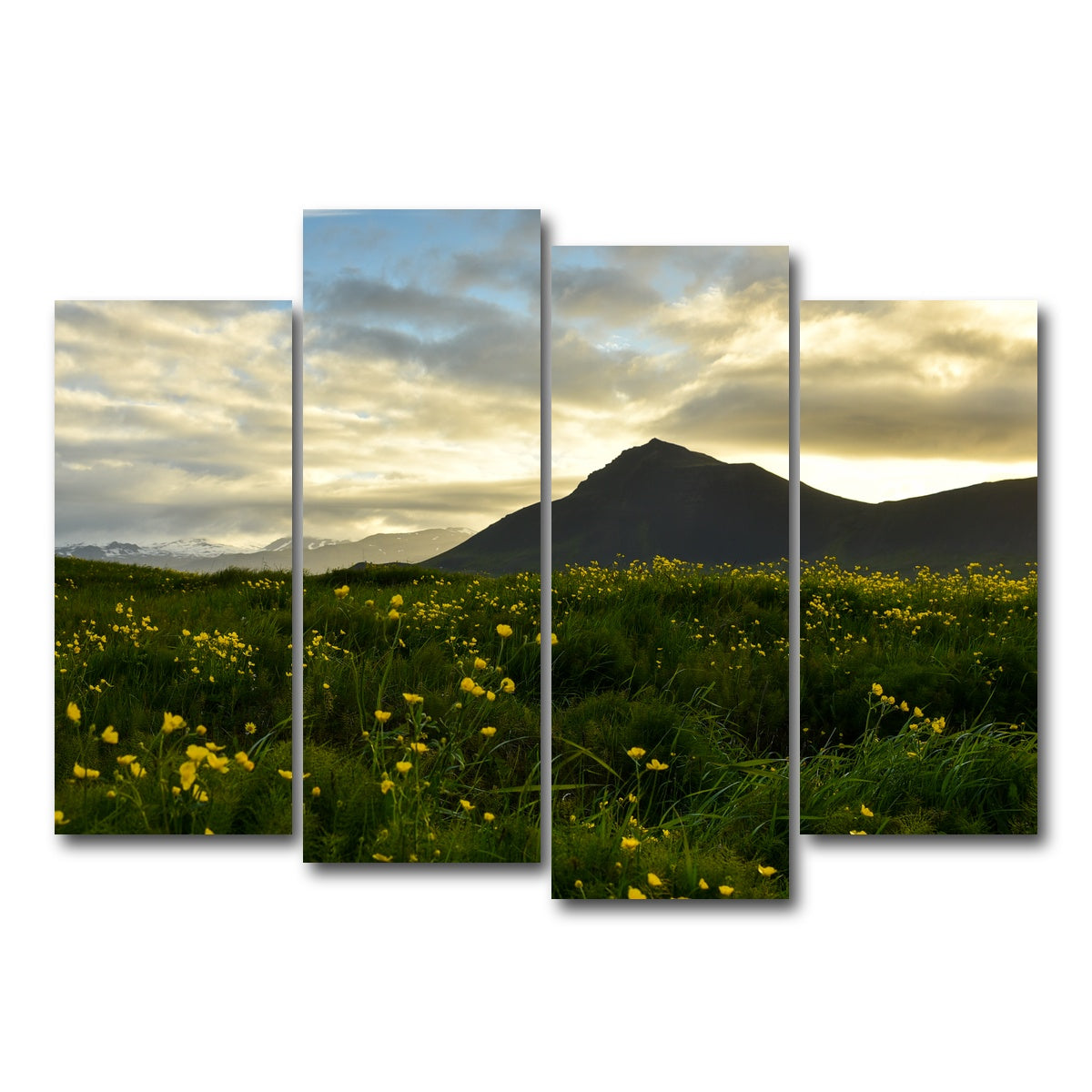 AUTO-MOCKUP WHITE | Wildflowers | 4 Piece | Gallery Wrap Canvas | group=4_normal