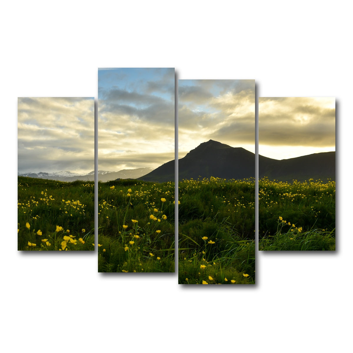 AUTO-MOCKUP WHITE | Wildflowers | 4 Piece | Gallery Wrap Canvas | group=4_short