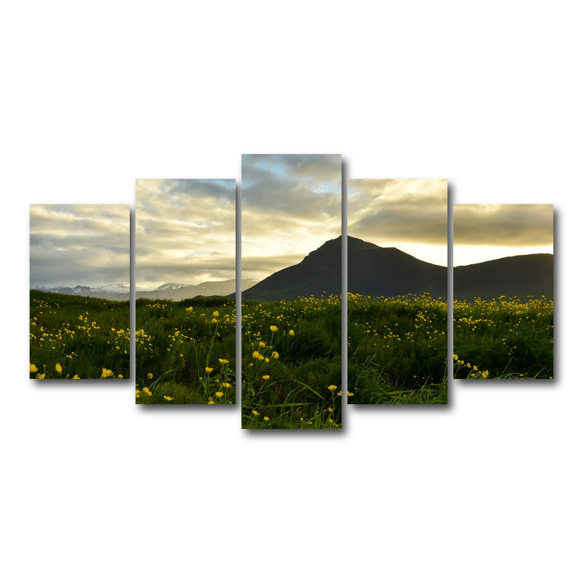 AUTO-MOCKUP WHITE | Wildflowers | 5 Piece | Gallery Wrap Canvas | group=5_normal