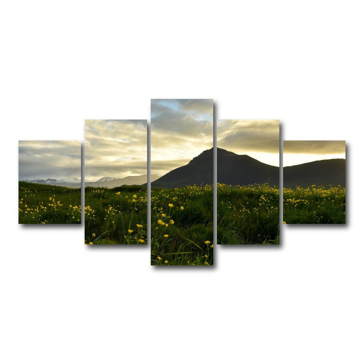 AUTO-MOCKUP WHITE | Wildflowers | 5 Piece | Gallery Wrap Canvas | group=5_short