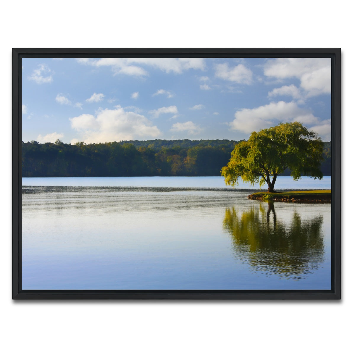 AUTO-MOCKUP WHITE | Willow tree on the Tennessee River | 1 Piece | Black Framed Canvas | group=4x3