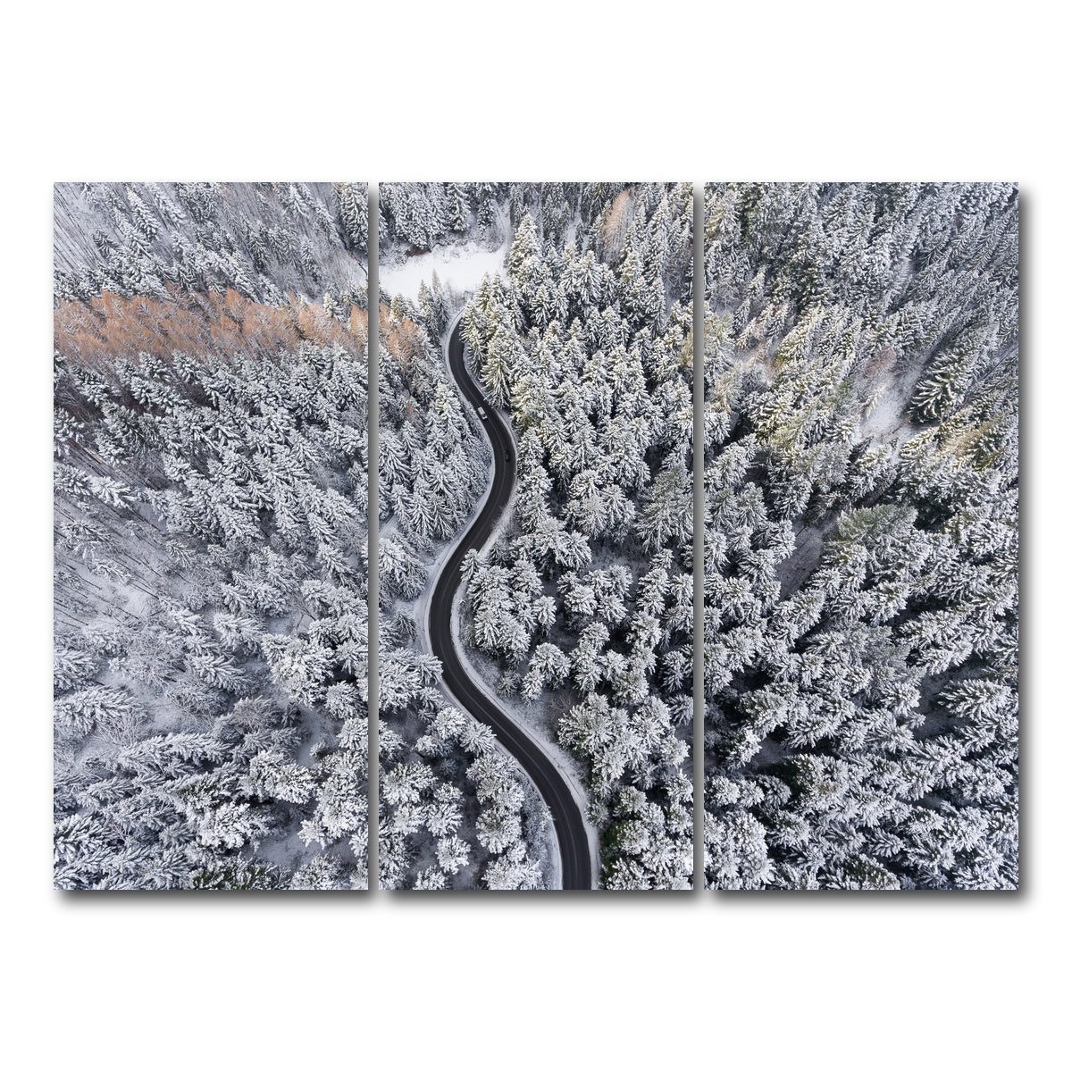 AUTO-MOCKUP WHITE | Winding Winter | 3 Piece | Gallery Wrap Canvas | group=8x18