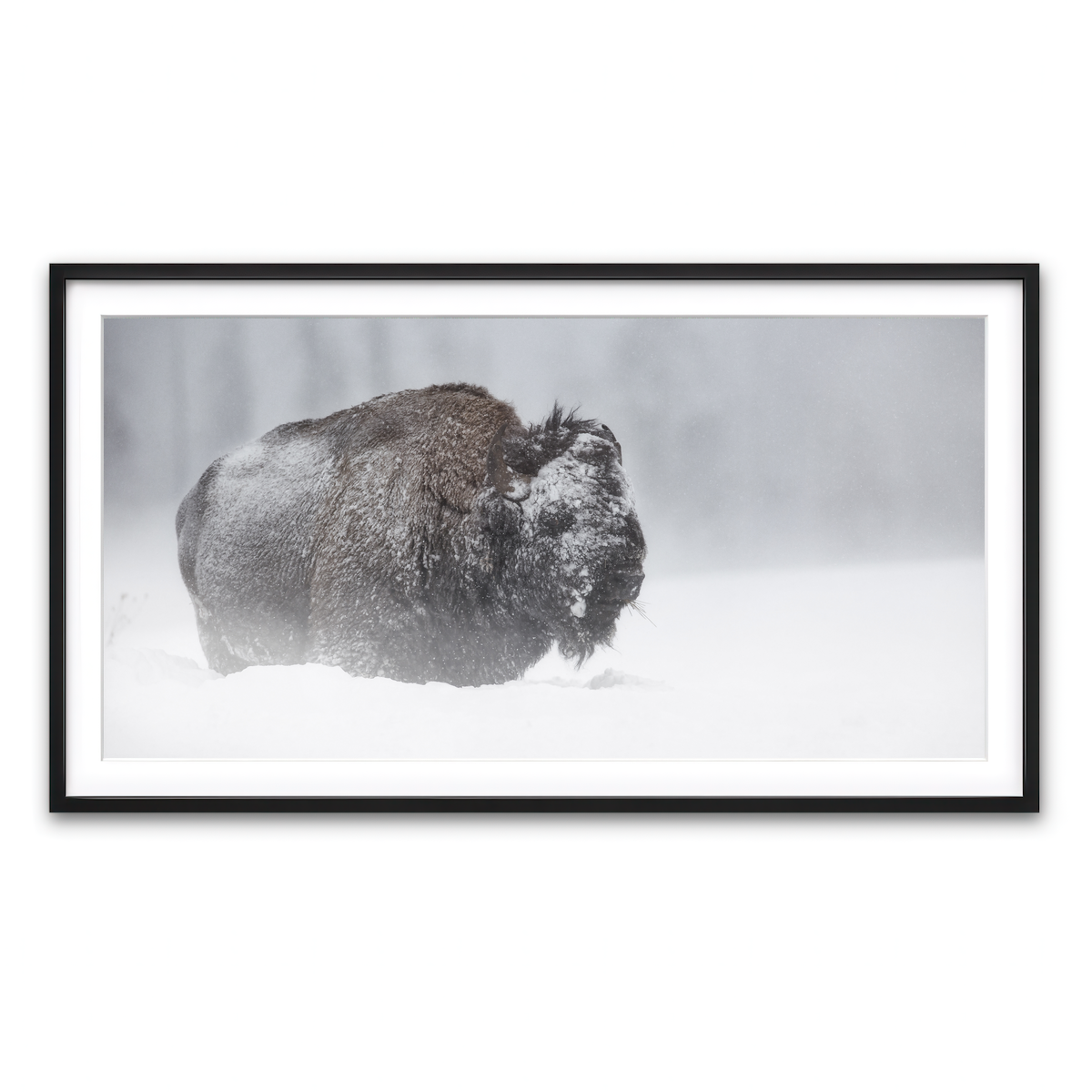 Framed Print 2x1 Black