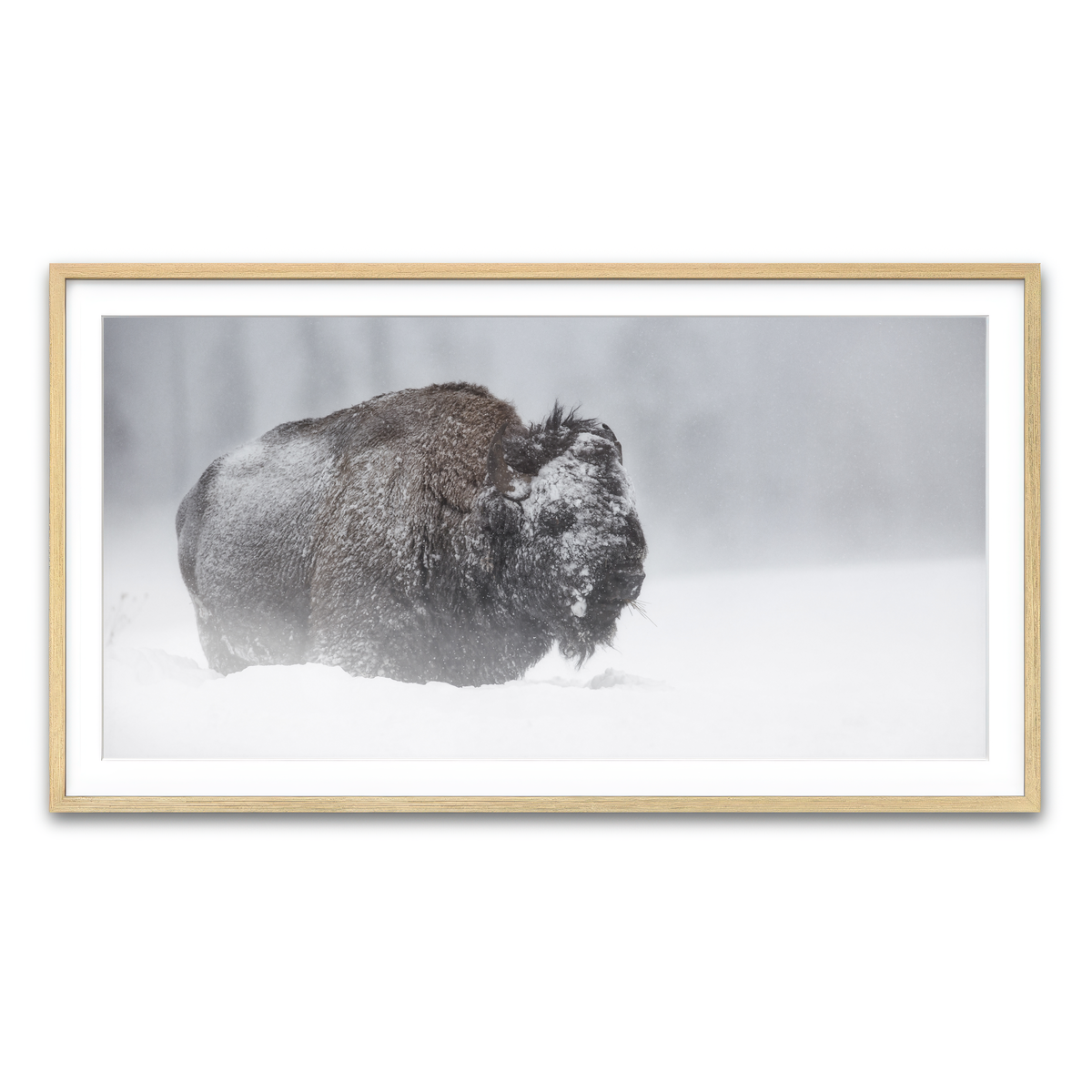 Framed Print 2x1 Natural