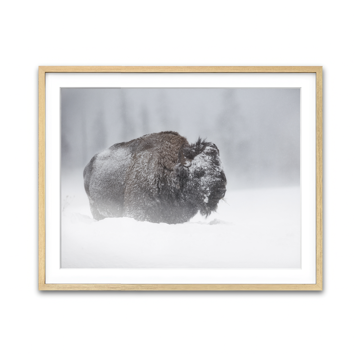 Framed Print 4x3 Natural