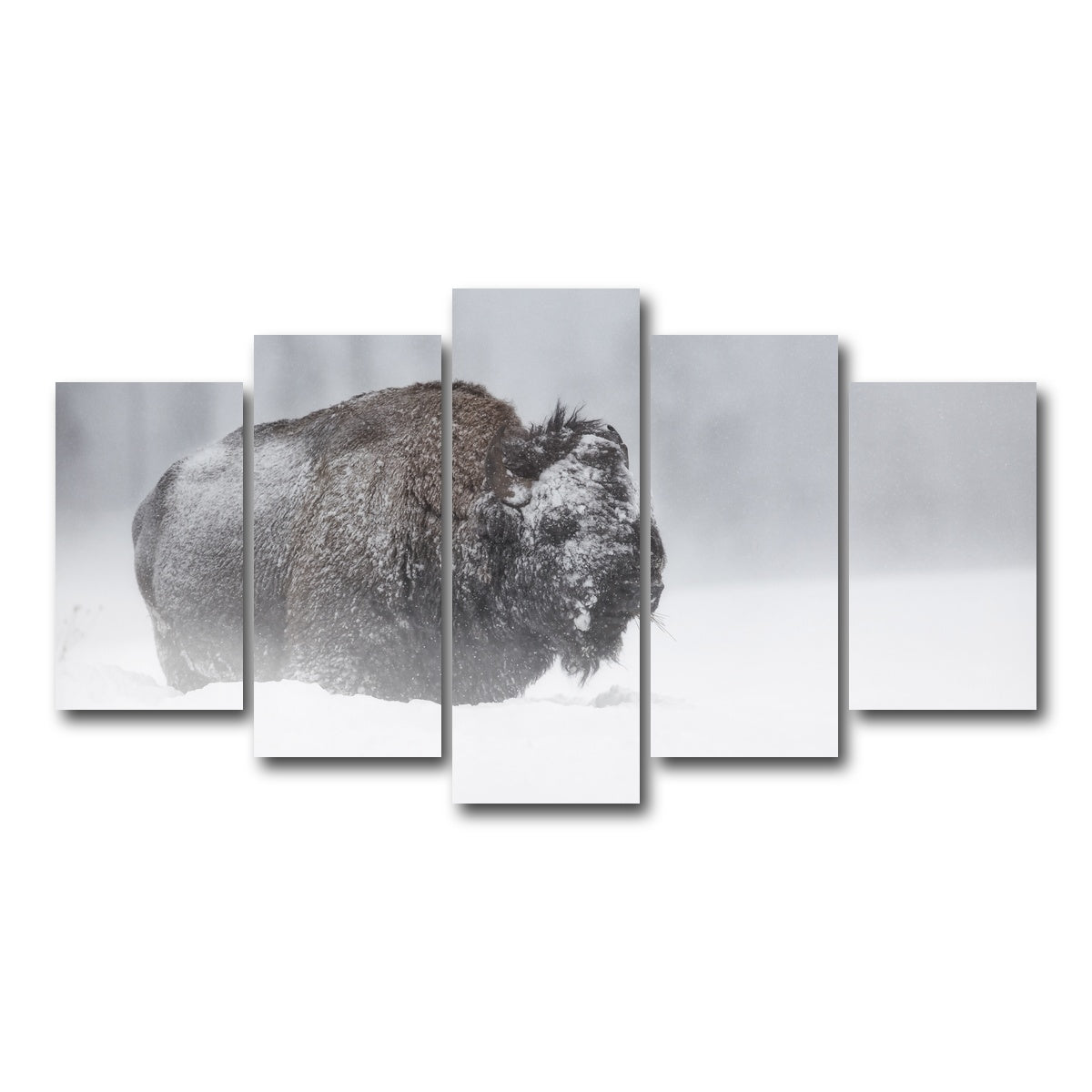 AUTO-MOCKUP WHITE | Winter Bison - Yellowstone | 5 Piece | Gallery Wrap Canvas | group=5_normal