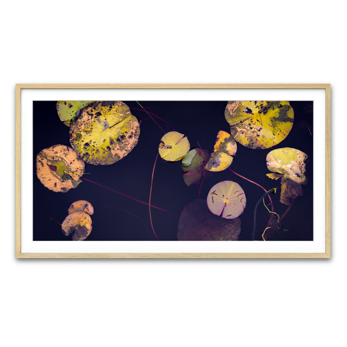 Framed Print 2x1 Natural