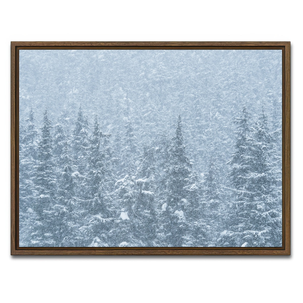 AUTO-MOCKUP WHITE | Winter Shames | 1 Piece | Walnut Framed Canvas | group=4x3