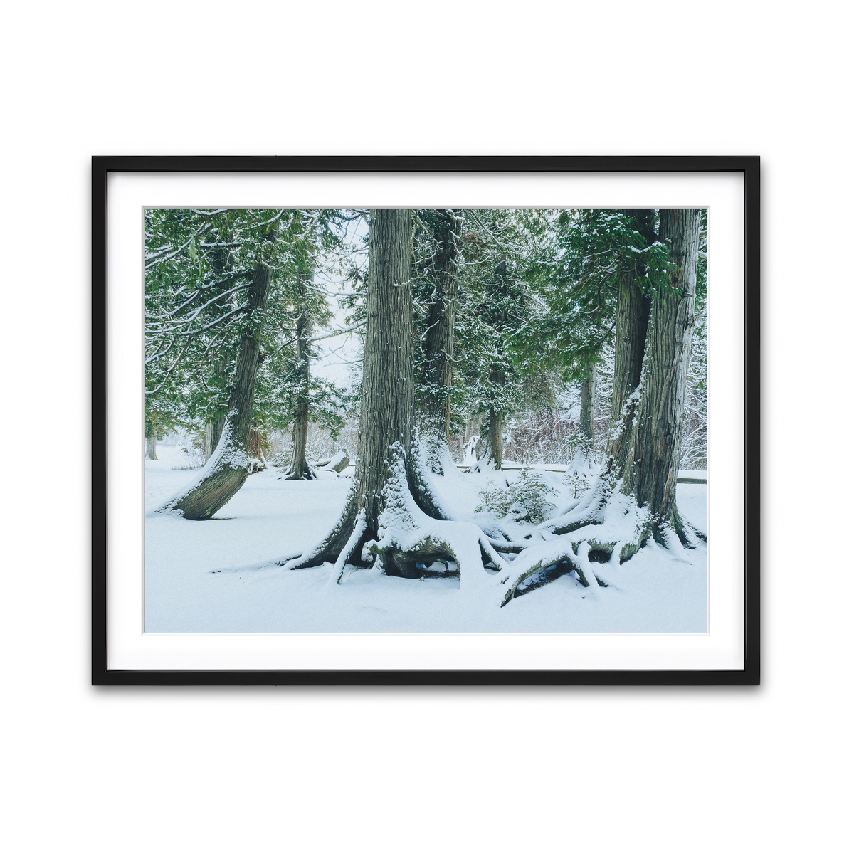Framed Print 4x3 Black