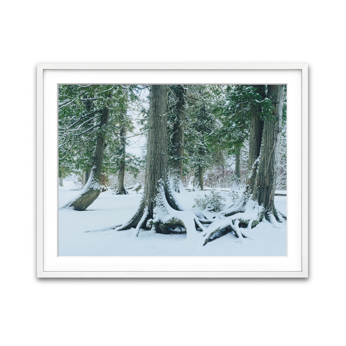 Framed Print 4x3 White