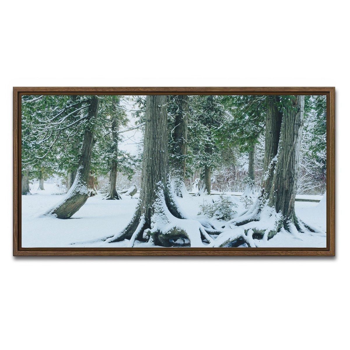 AUTO-MOCKUP WHITE | Winter in Northern BC 1 | 1 Piece | Walnut Framed Canvas | group=2x1