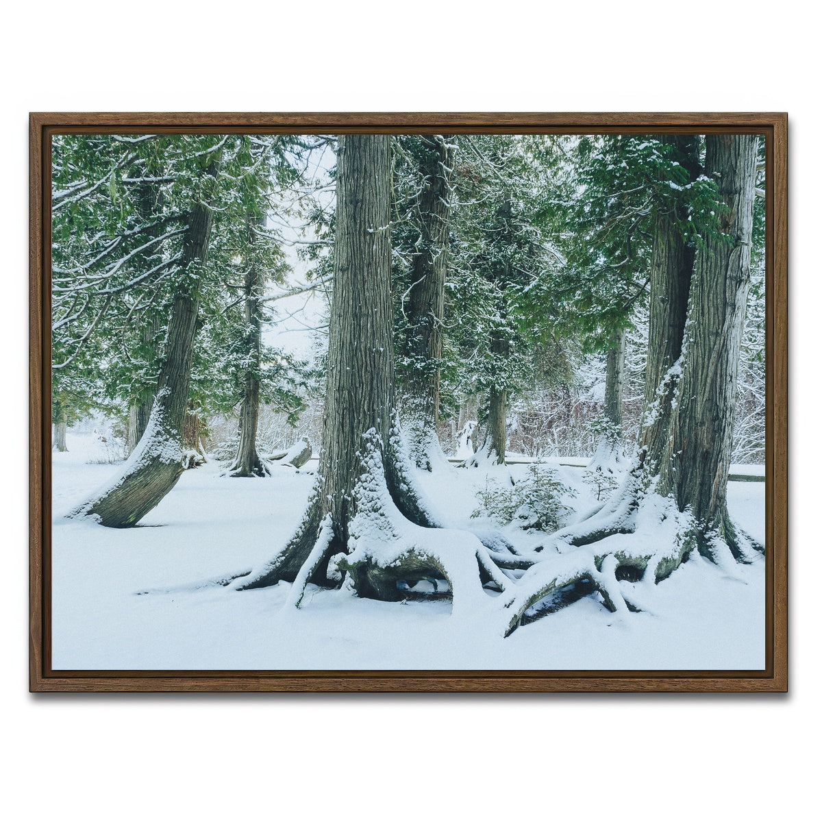 AUTO-MOCKUP WHITE | Winter in Northern BC 1 | 1 Piece | Walnut Framed Canvas | group=4x3