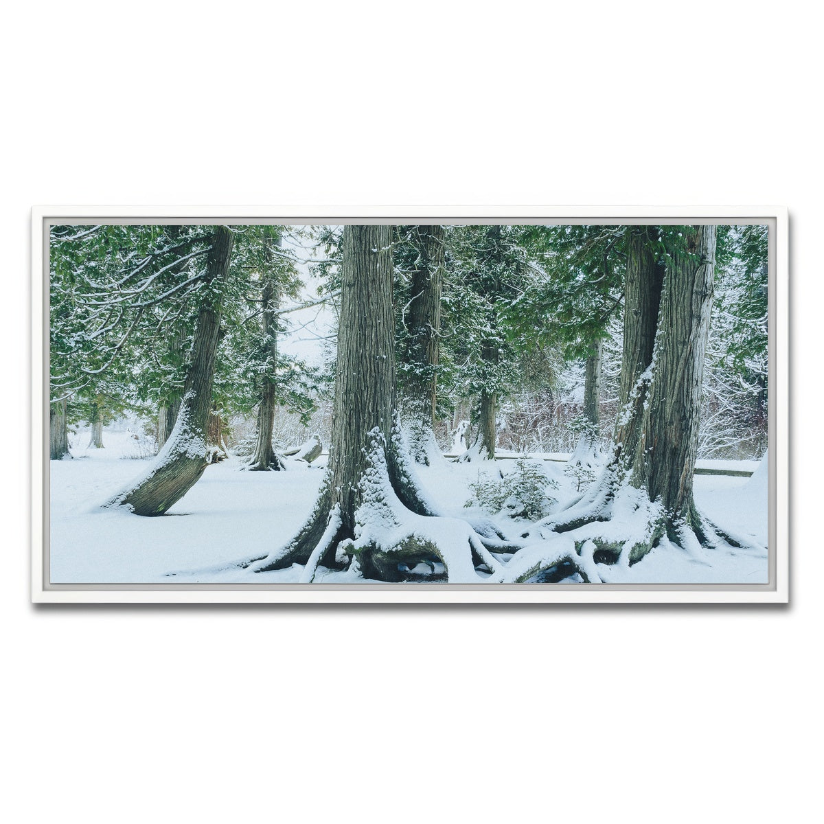 AUTO-MOCKUP WHITE | Winter in Northern BC 1 | 1 Piece | White Framed Canvas | group=2x1
