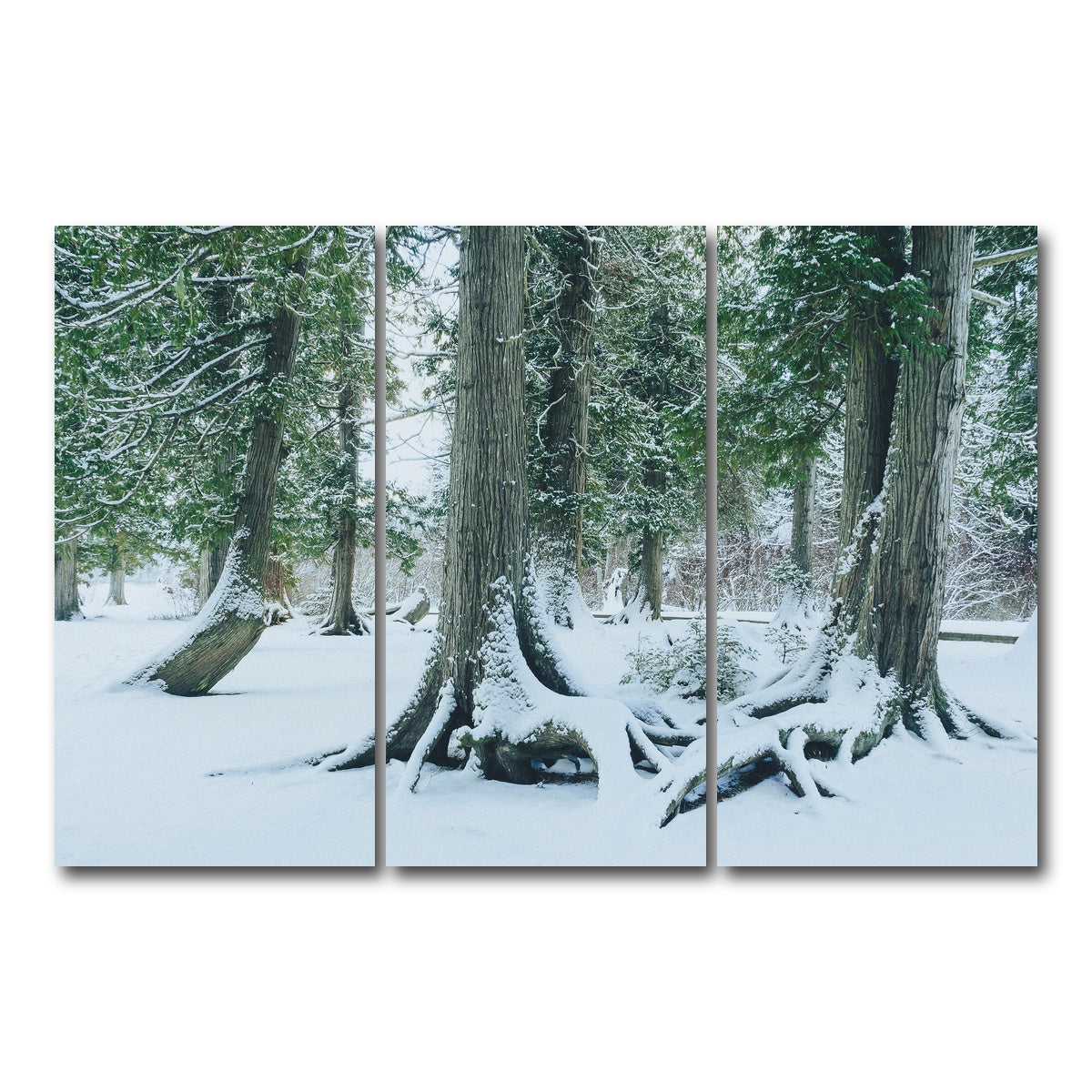 AUTO-MOCKUP WHITE | Winter in Northern BC 1 | 3 Piece | Gallery Wrap Canvas | group=12x24