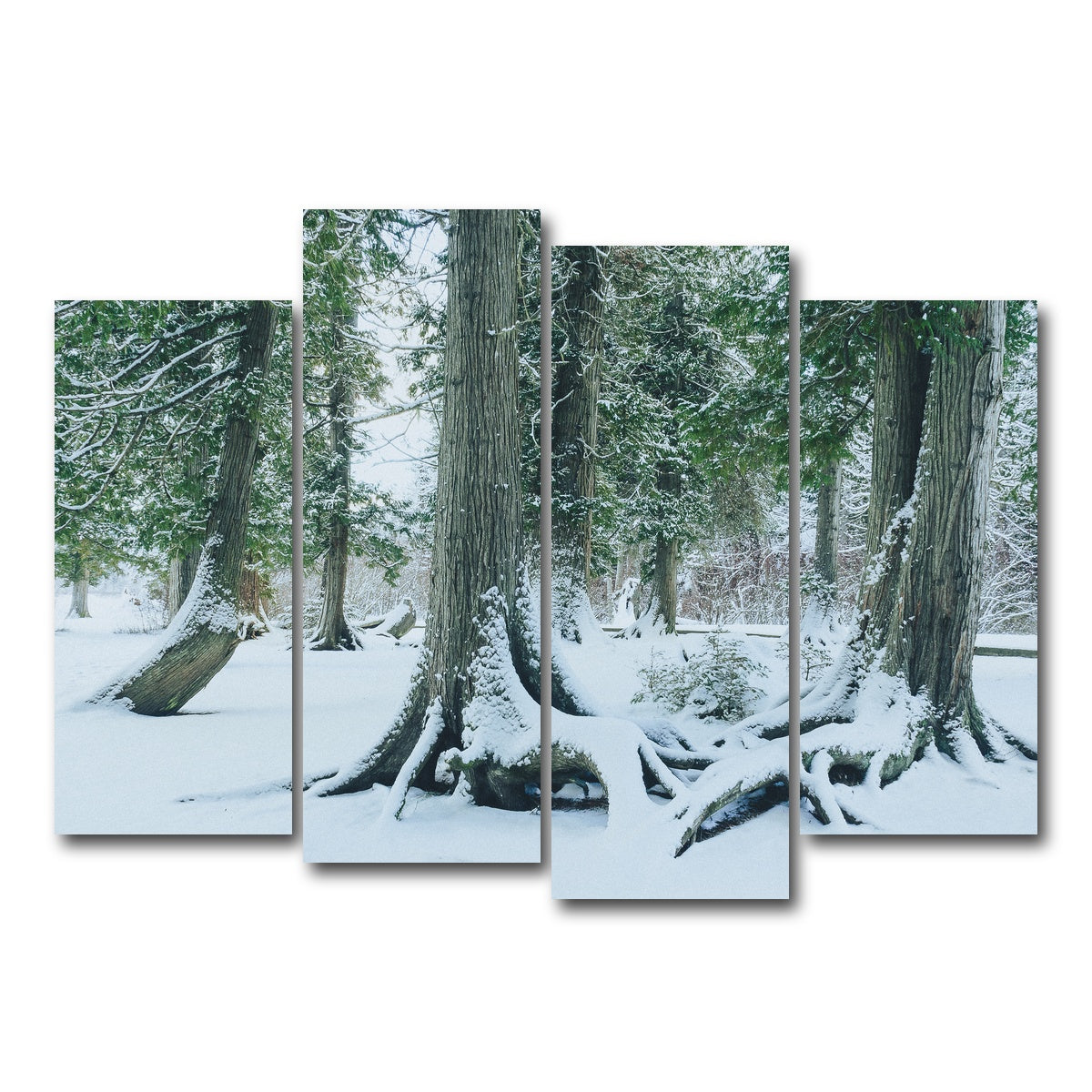 AUTO-MOCKUP WHITE | Winter in Northern BC 1 | 4 Piece | Gallery Wrap Canvas | group=4_normal