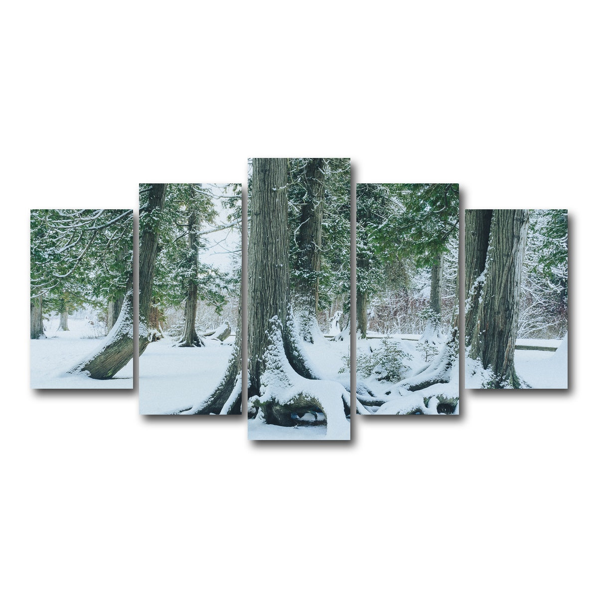 AUTO-MOCKUP WHITE | Winter in Northern BC 1 | 5 Piece | Gallery Wrap Canvas | group=5_normal