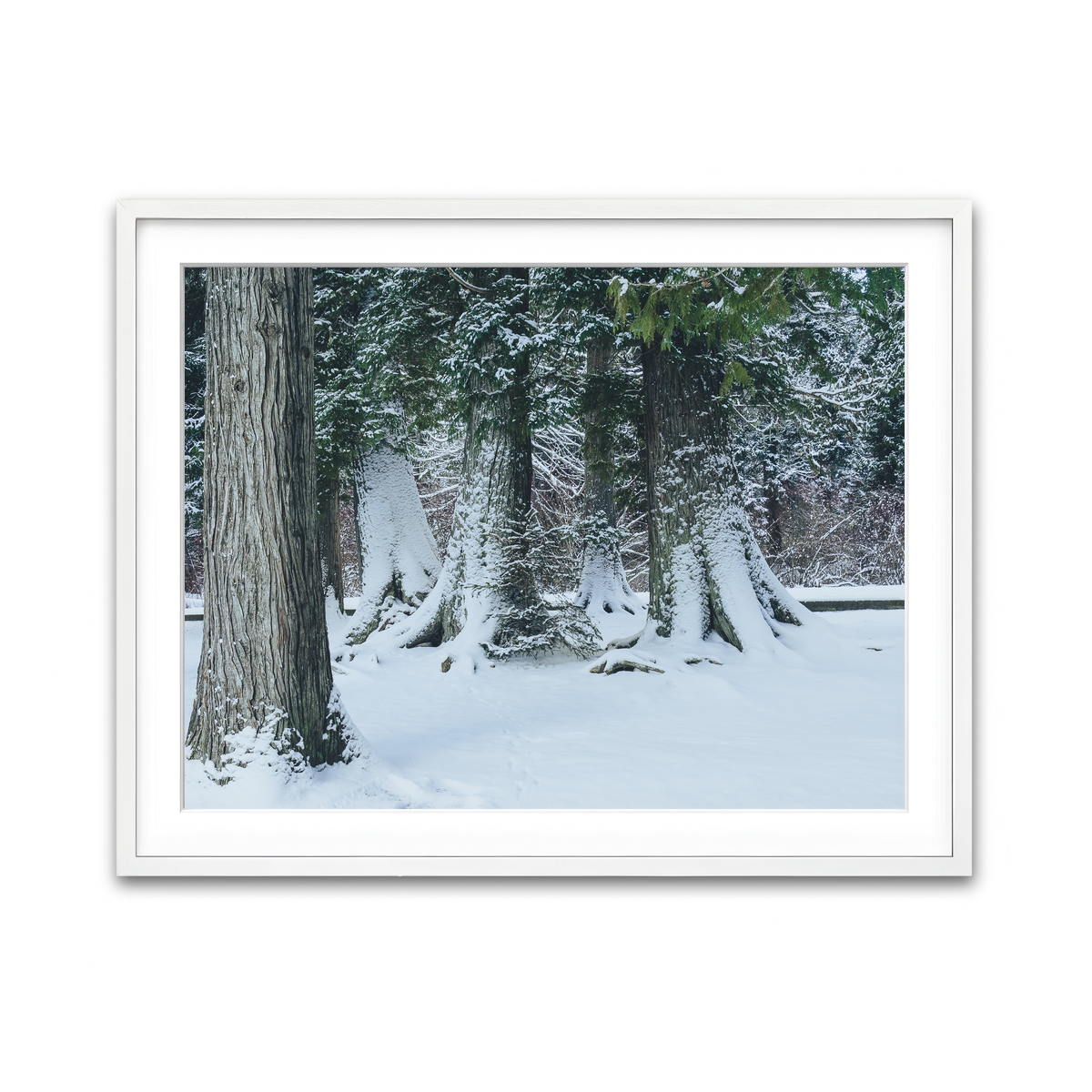 Framed Print 4x3 White