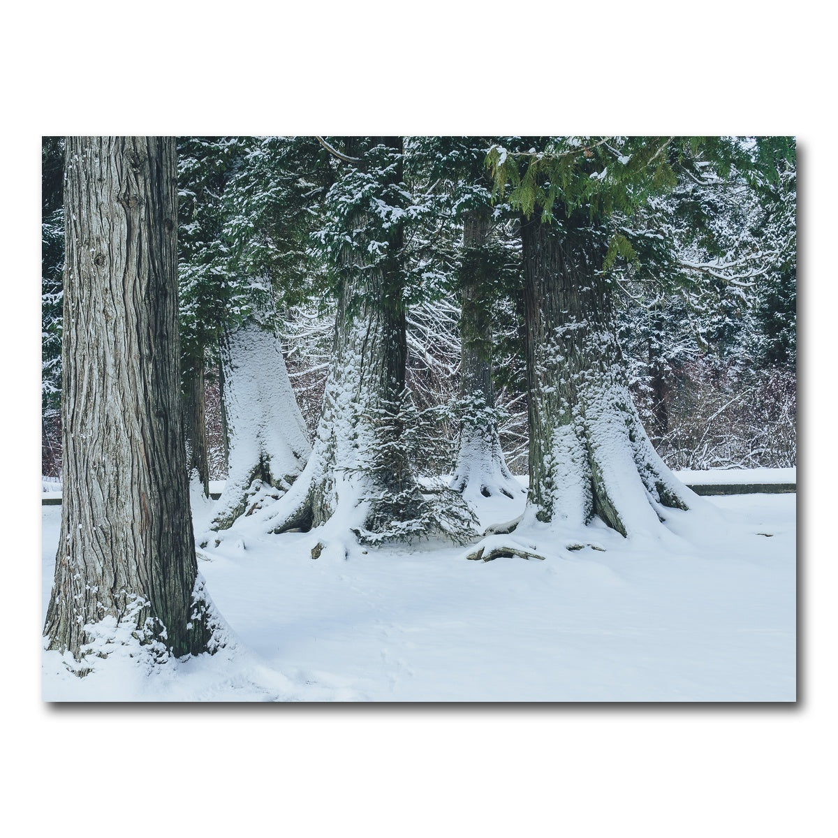 AUTO-MOCKUP WHITE | Winter in Northern BC | 1 Piece | Gallery Wrap Canvas | group=4x3