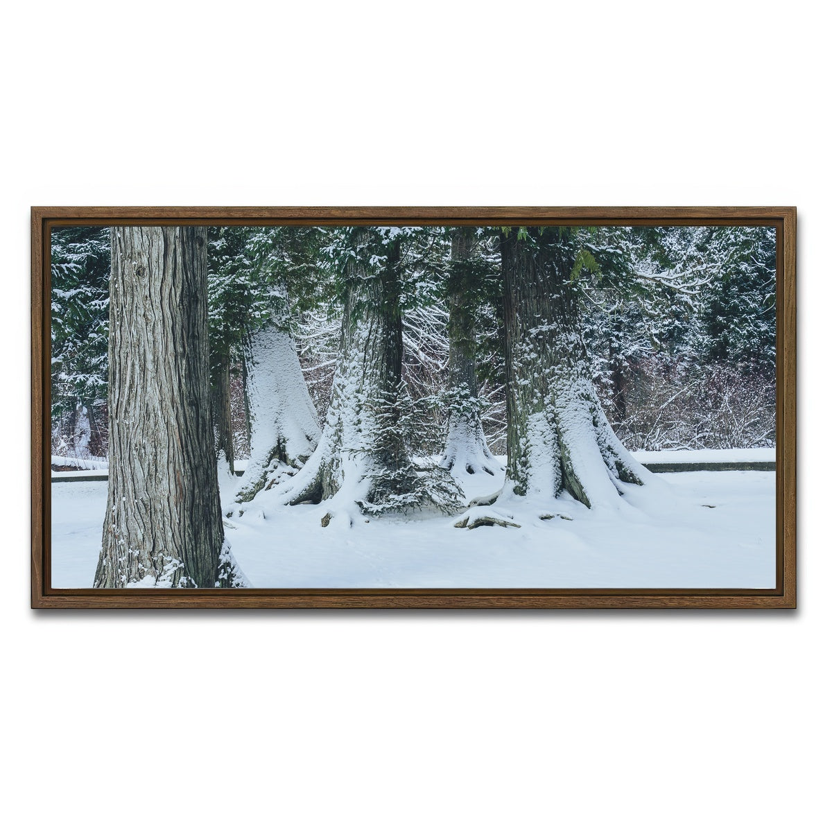 AUTO-MOCKUP WHITE | Winter in Northern BC | 1 Piece | Walnut Framed Canvas | group=2x1