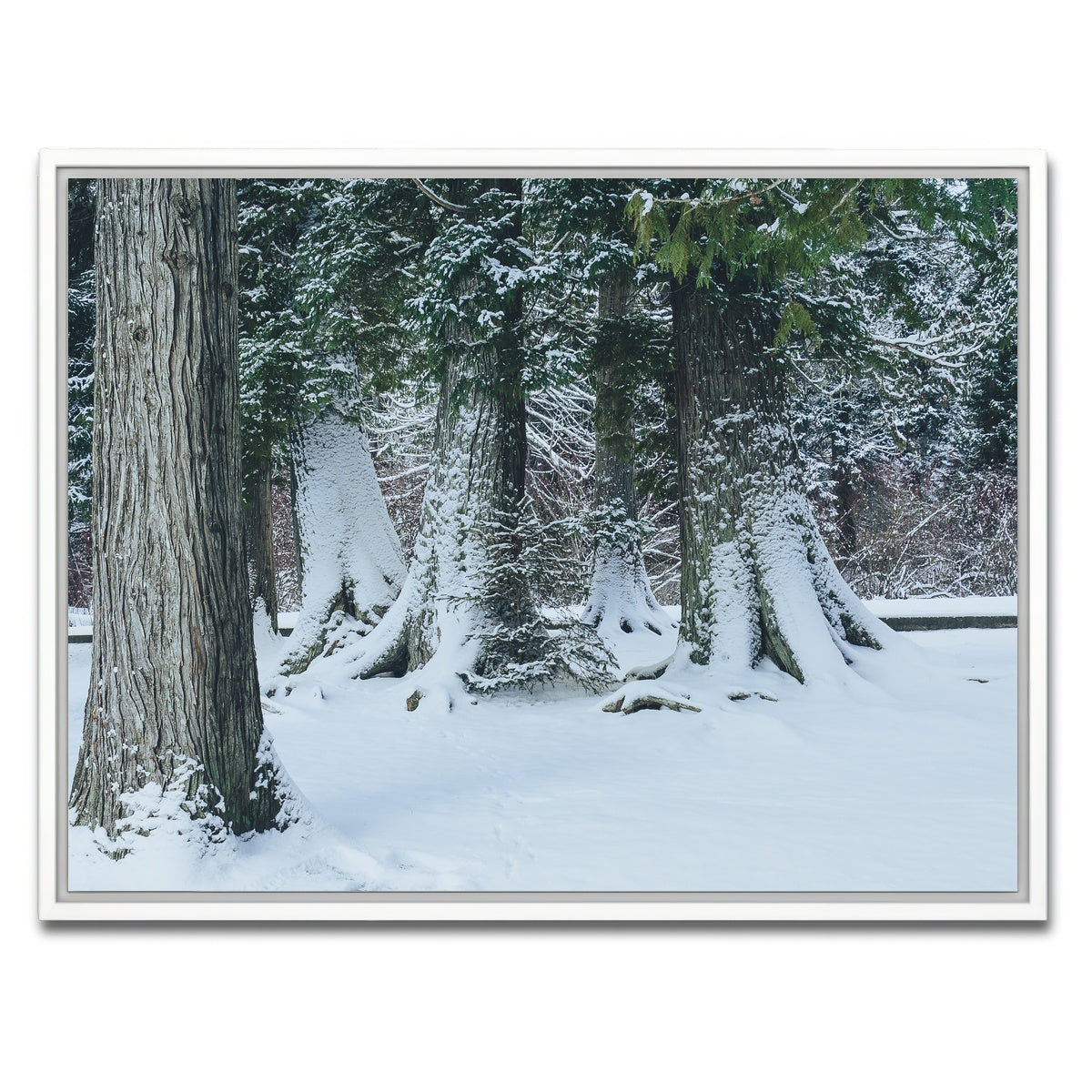 AUTO-MOCKUP WHITE | Winter in Northern BC | 1 Piece | White Framed Canvas | group=4x3