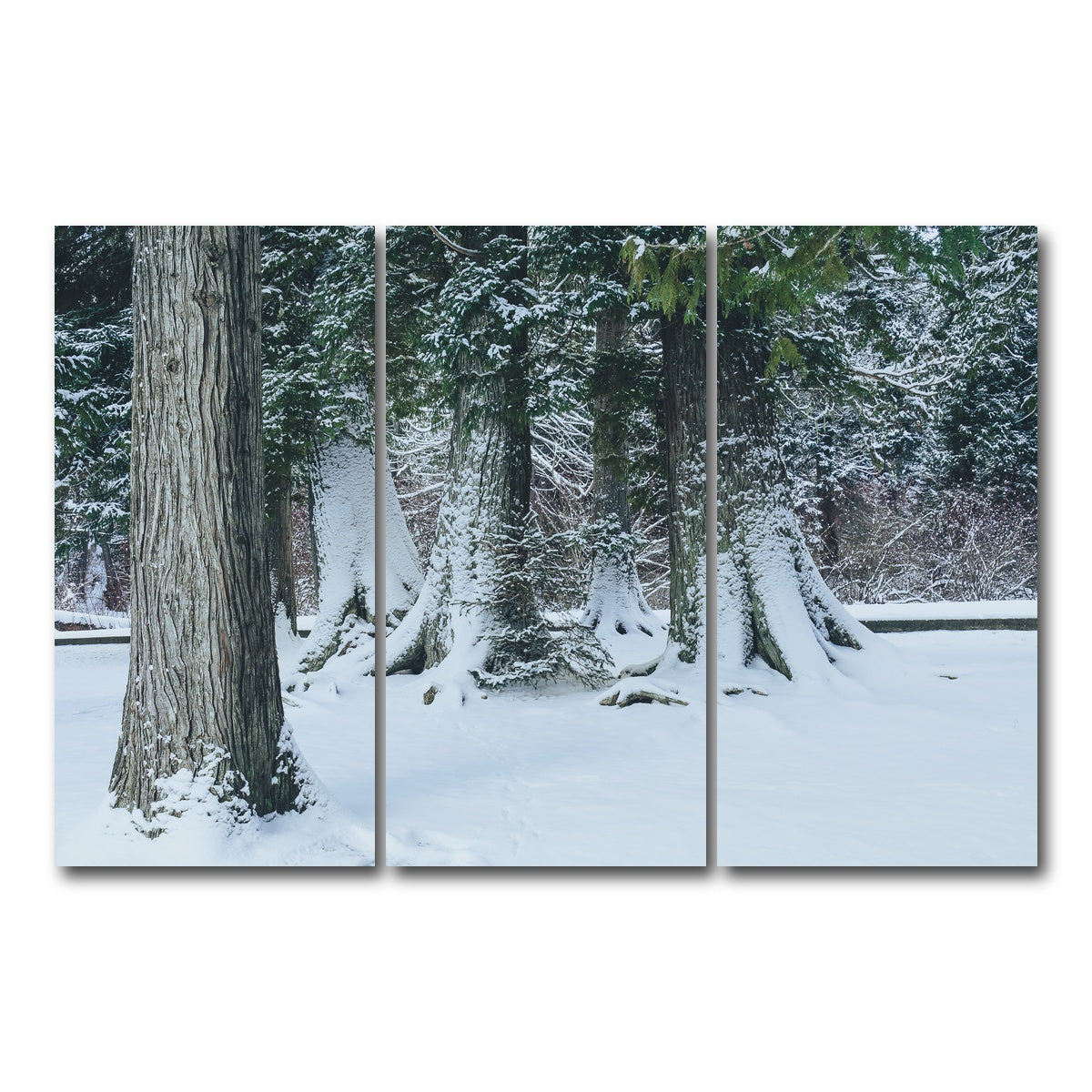 AUTO-MOCKUP WHITE | Winter in Northern BC | 3 Piece | Gallery Wrap Canvas | group=12x24