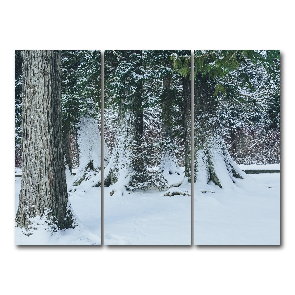 AUTO-MOCKUP WHITE | Winter in Northern BC | 3 Piece | Gallery Wrap Canvas | group=8x18