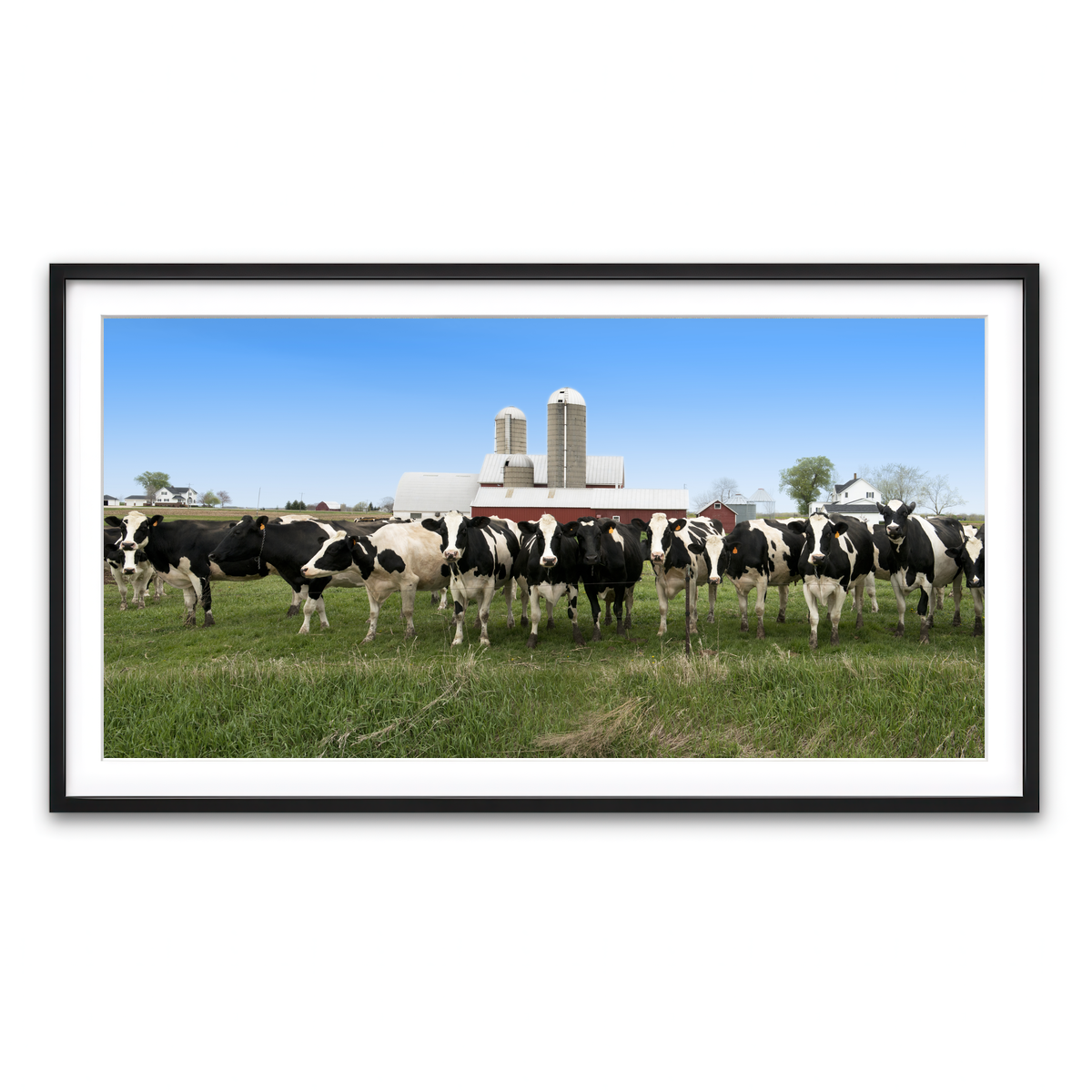 Framed Print 2x1 Black