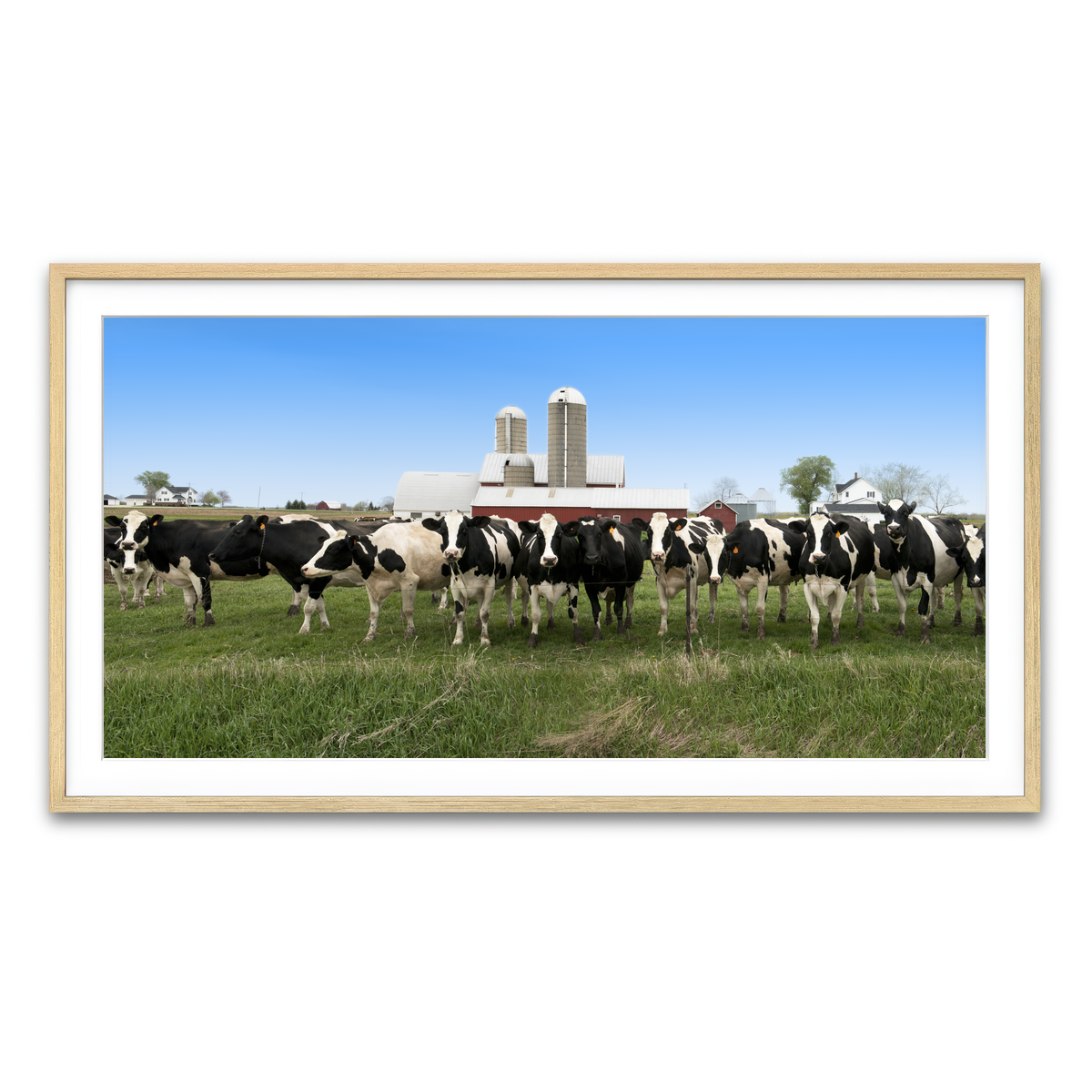 Framed Print 2x1 Natural