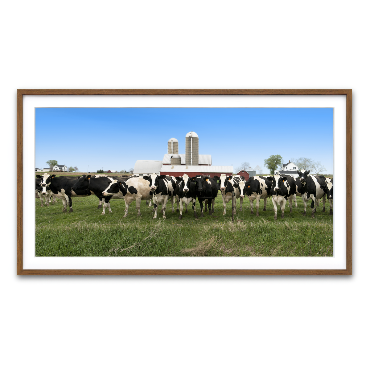 Framed Print 2x1 Walnut