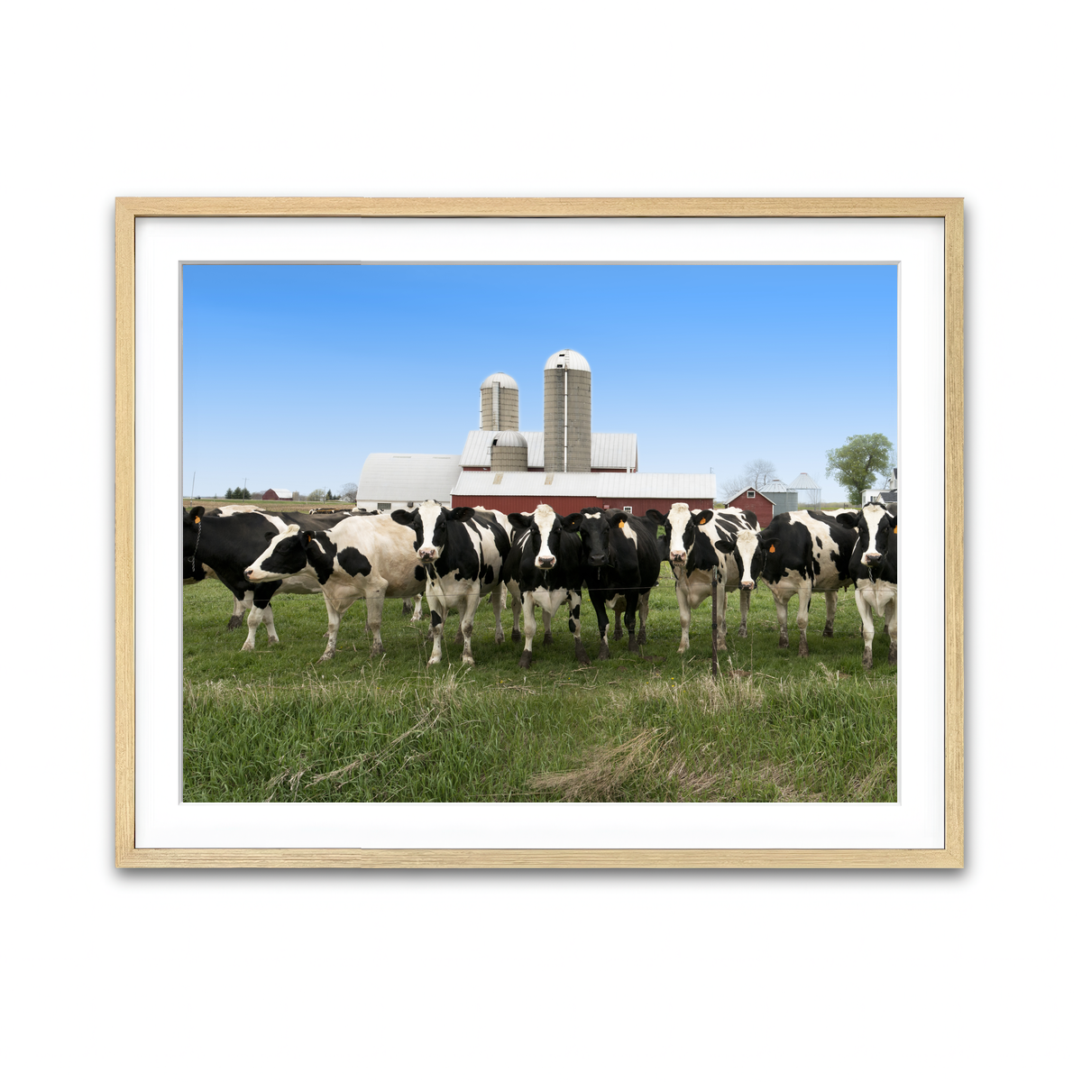 Framed Print 4x3 Natural