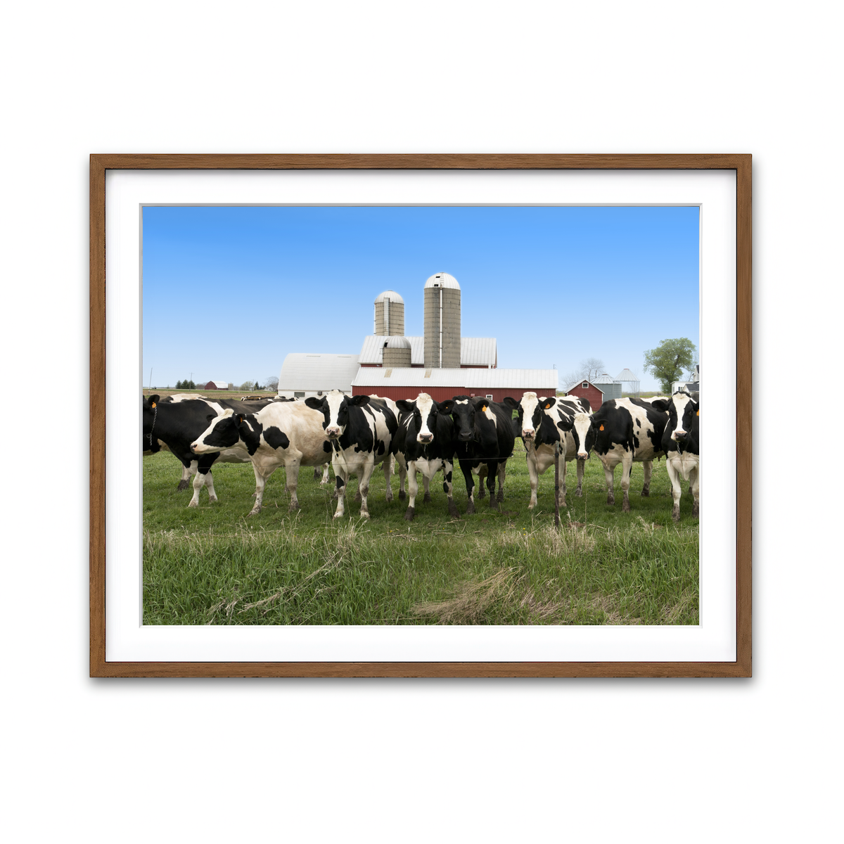 Framed Print 4x3 Walnut