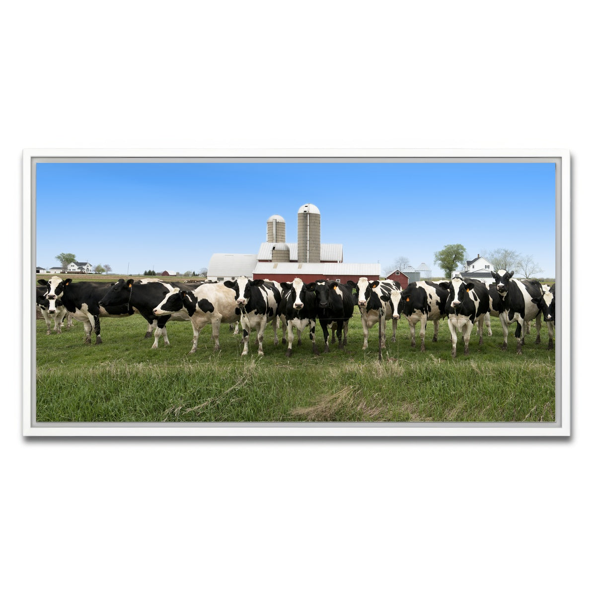 AUTO-MOCKUP WHITE | Wisconsin Dairy Cows | 1 Piece | White Framed Canvas | group=2x1