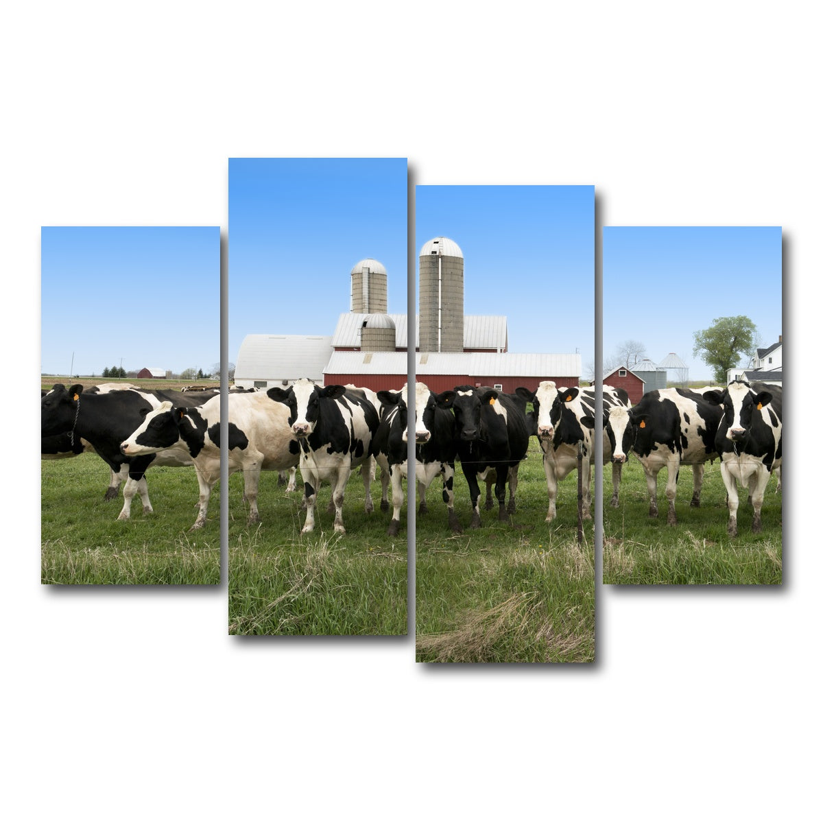 AUTO-MOCKUP WHITE | Wisconsin Dairy Cows | 4 Piece | Gallery Wrap Canvas | group=4_short