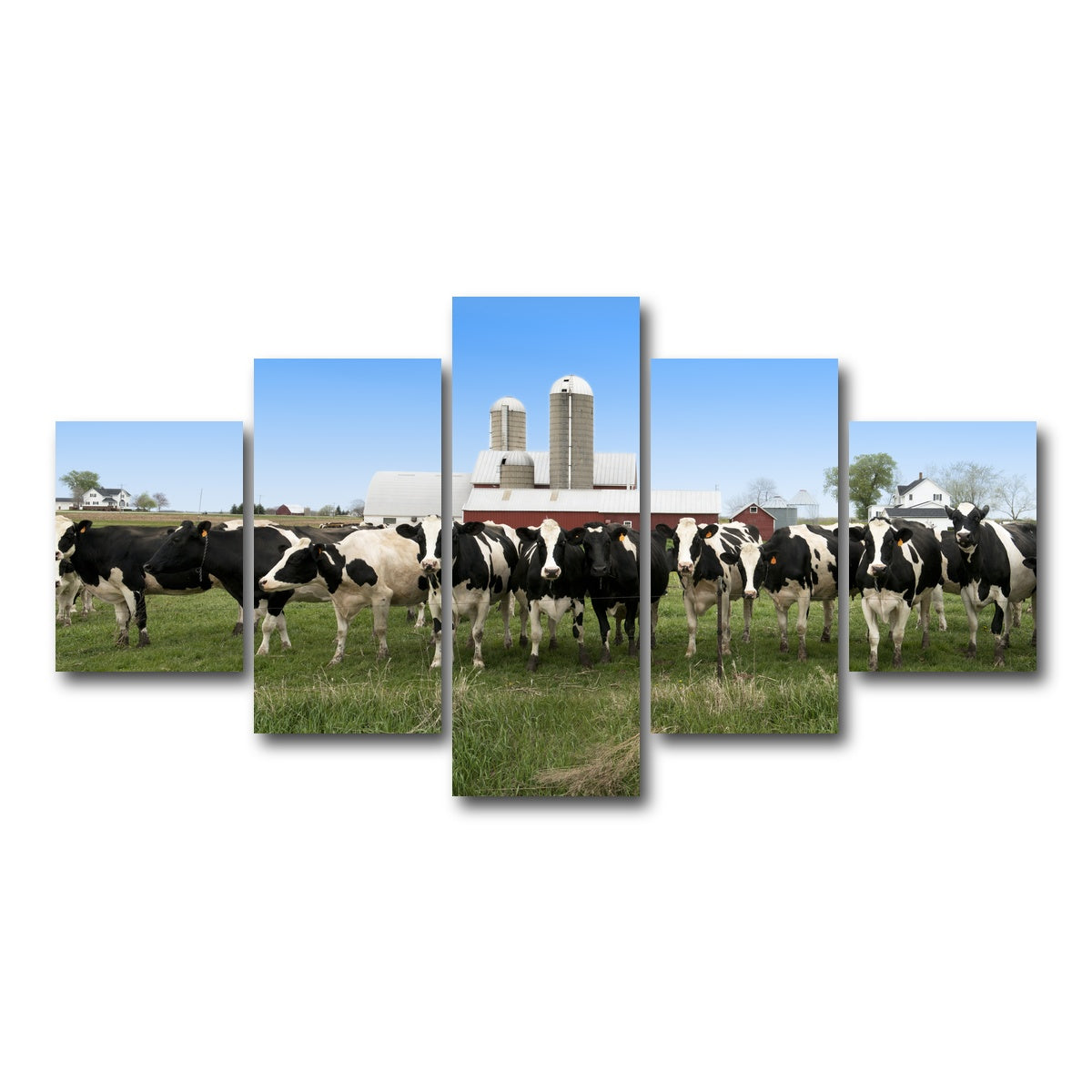 AUTO-MOCKUP WHITE | Wisconsin Dairy Cows | 5 Piece | Gallery Wrap Canvas | group=5_short