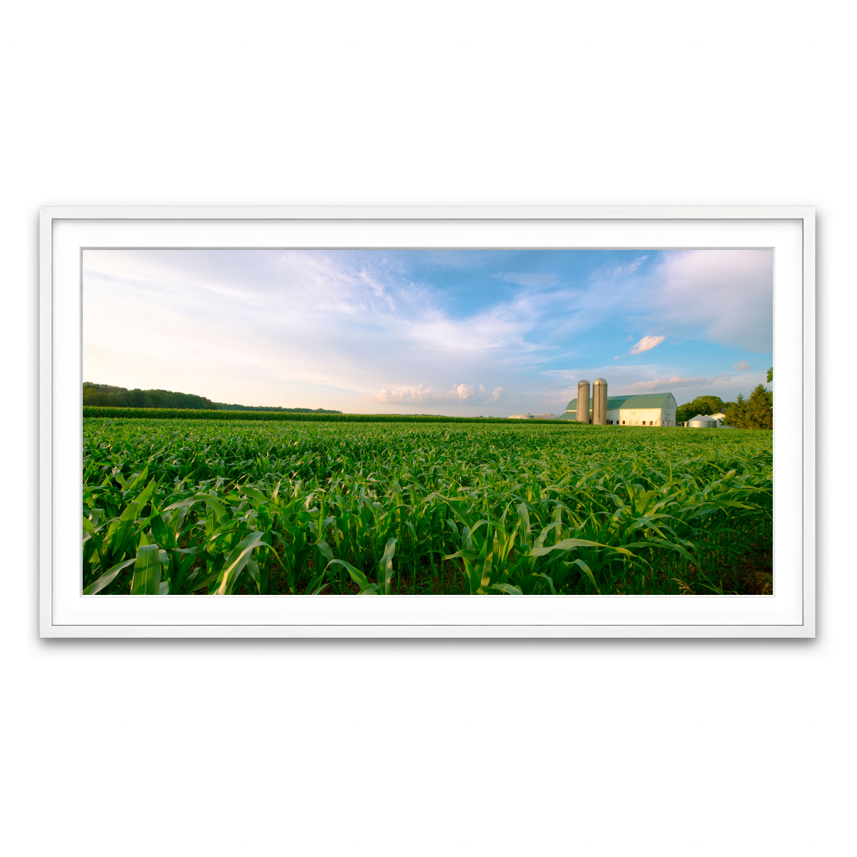 Framed Print 2x1 White