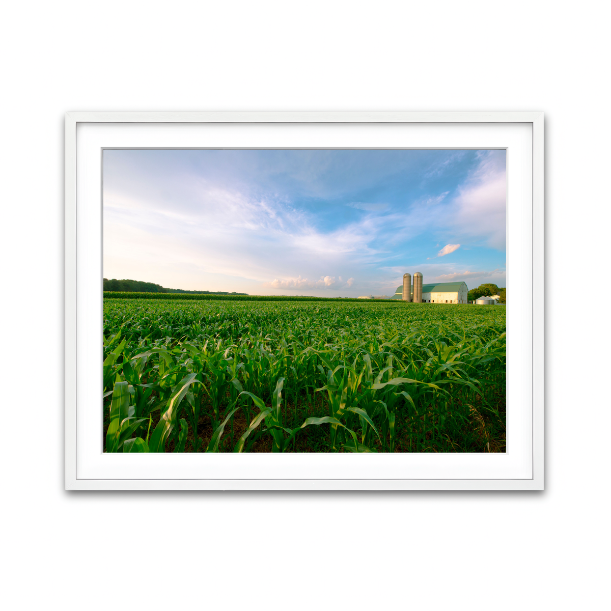 Framed Print 4x3 White