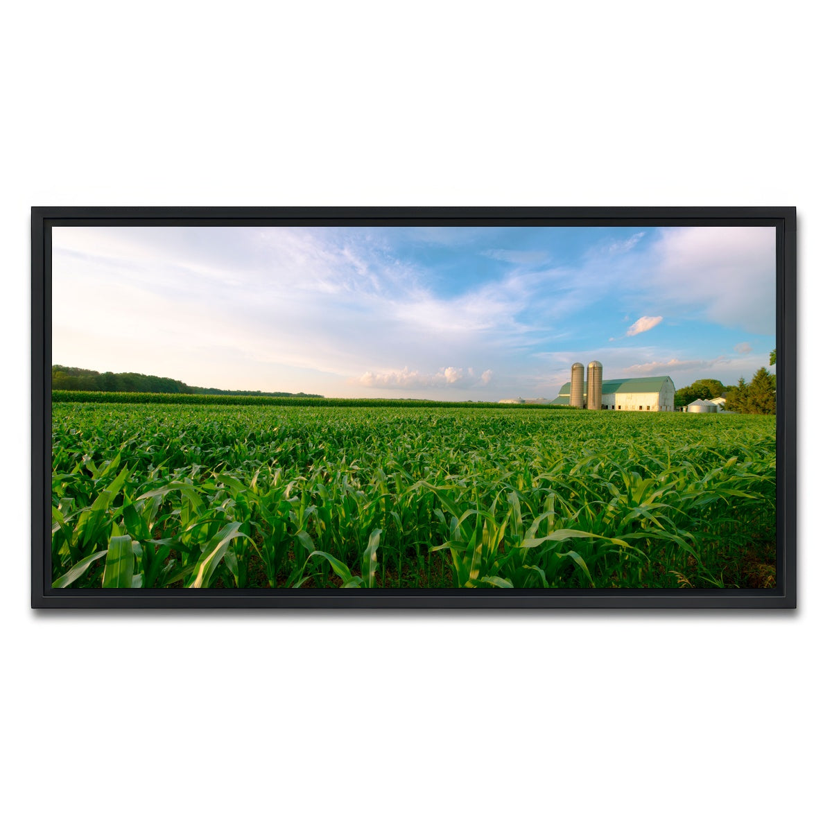 AUTO-MOCKUP WHITE | Wisconsin Dairy Farm by Field of Corn | 1 Piece | Black Framed Canvas | group=2x1